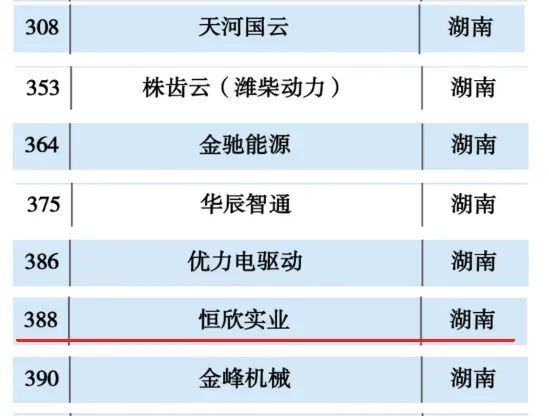 恒欣股份上榜“2024工業(yè)互聯(lián)網(wǎng)500強(qiáng)”